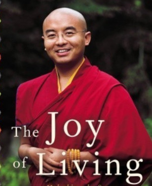 The Joy of Living by Yongey Mingyur Rinpoche